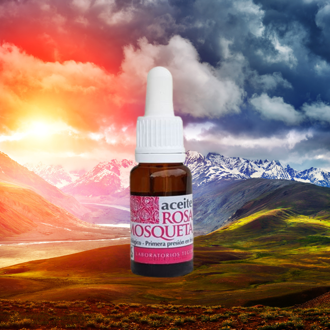 Tegoder Rosa Mosqueta Oil - 100% Pézsma rózsa olaj
